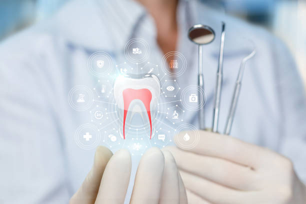 Dental X-Rays and Imaging in South Highpoint, FL